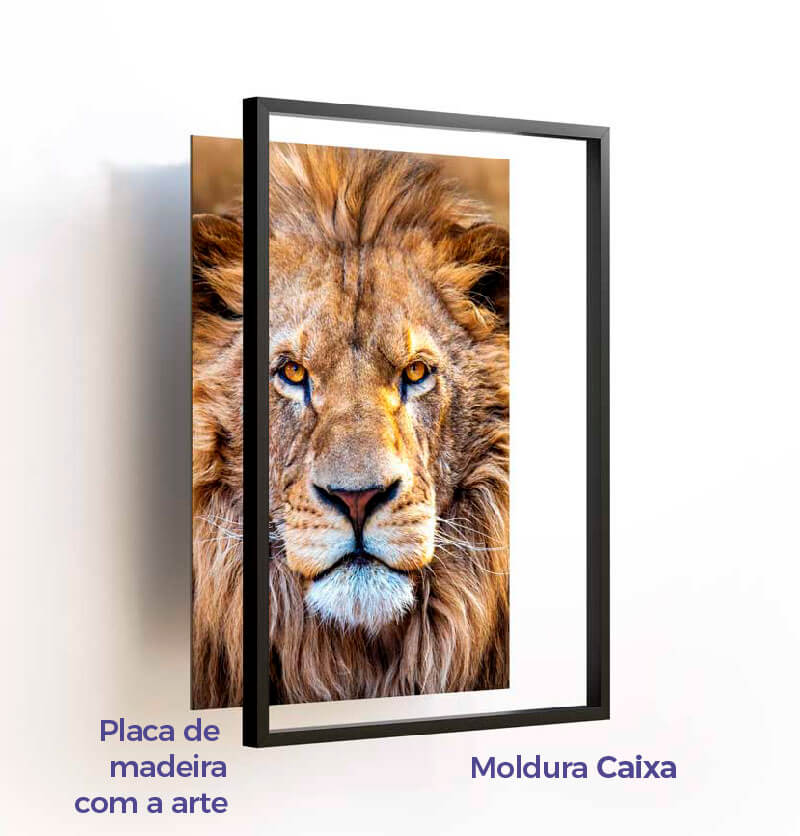 moldura caixa sem vidro